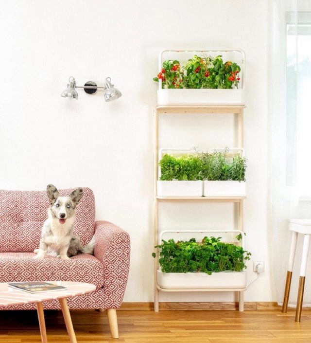 step-up-your-green-thumb-game-self-watering-plant-pots-do-the-watering