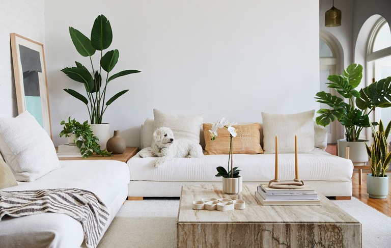 Living room with greenery